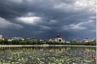 莲花池公园游览全攻略：免费开放千年古池，四季美景与交通指南