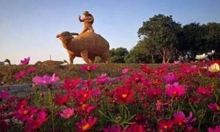 西塘天气全攻略：四季气候特征、天气预报获取与不同天气游览指南