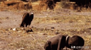 饥饿的苏丹照片背后的真相：凯文·卡特镜头下的道德困境与饥荒根源解析