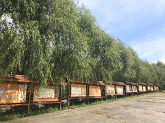 佳木斯市旅游攻略：探索东北边境童话世界与多元文化美食