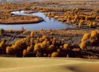 塔里木盆地：中国西北能源宝库与生态奇观全解析