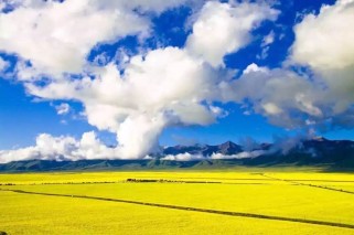 新疆博乐旅游攻略：解锁绝美风光与多元文化，轻松规划完美旅程