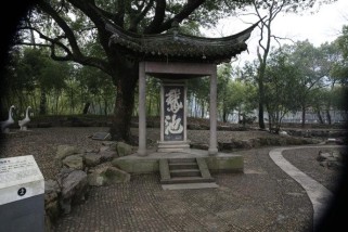 硝呋太尔制霉素软胶囊：轻松解决妇科混合感染，告别瘙痒不适