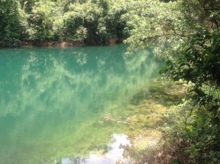 肇庆景点全攻略：七星岩鼎湖山一日游，轻松玩转山水人文