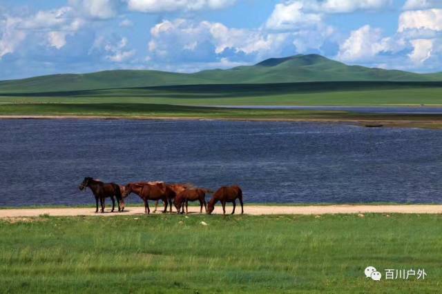蒙古历史文化深度解析:从游牧起源到现代传承,探索草原文明的永恒魅力 蒙古历史文化深度解析:从游牧起源到现代传承,探索草原文明的永恒魅力