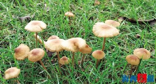 厦门天气预报15天:轻松规划完美行程,避开阴雨烦恼 厦门天气预报15天:轻松规划完美行程,避开阴雨烦恼