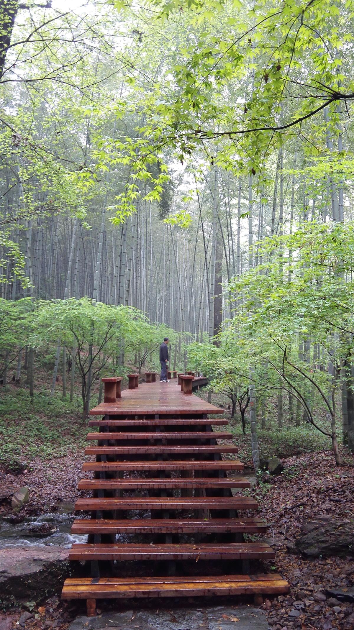 杭州云栖竹径旅游攻略:四季美景、交通路线与摄影打卡全指南 杭州云栖竹径旅游攻略:四季美景、交通路线与摄影打卡全指南