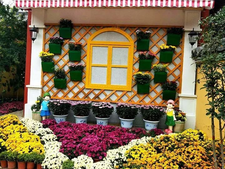 开封菊花展攻略:最佳观赏期、门票优惠与千年文化传承全解析 开封菊花展攻略:最佳观赏期、门票优惠与千年文化传承全解析