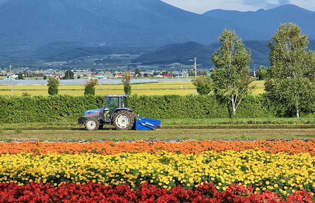 旅游包车全攻略:一键预订、价格透明、安全保障,让您的旅途更自由快乐 旅游包车全攻略:一键预订、价格透明、安全保障,让您的旅途更自由快乐