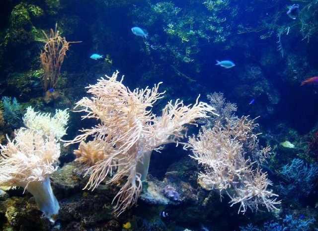 大连老虎滩游玩全攻略:必游景点路线、表演时间、门票优惠及交通指南 大连老虎滩游玩全攻略:必游景点路线、表演时间、门票优惠及交通指南