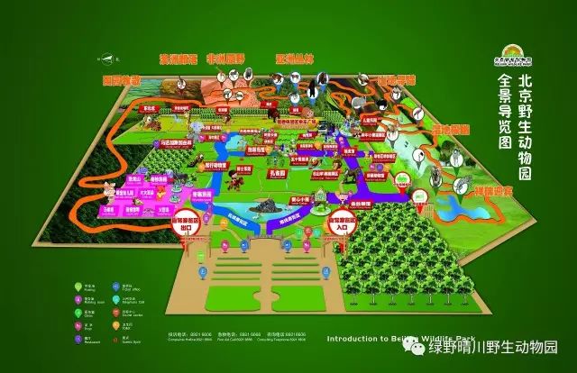 玉人何处教吹箫:杜牧诗中江南秋夜的永恒思念与唯美意境 玉人何处教吹箫:杜牧诗中江南秋夜的永恒思念与唯美意境