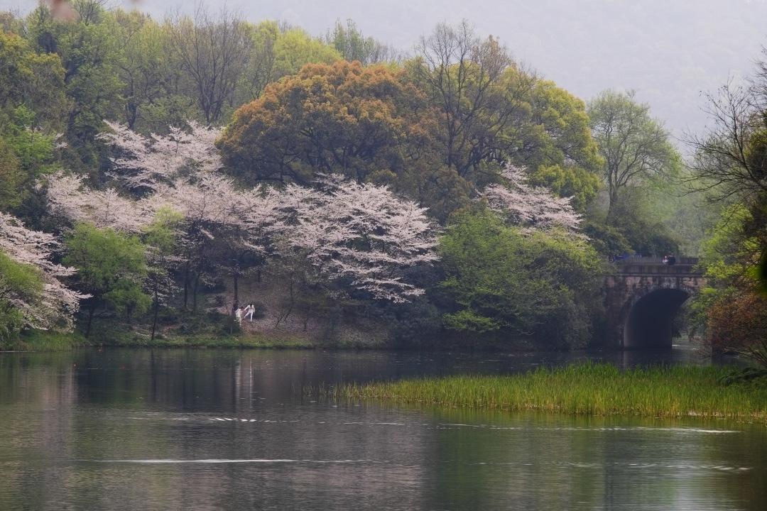 杭州灵隐寺旅游攻略:开放时间、门票预约、最佳路线全解析,轻松规划您的禅意之旅 杭州灵隐寺旅游攻略:开放时间、门票预约、最佳路线全解析,轻松规划您的禅意之旅