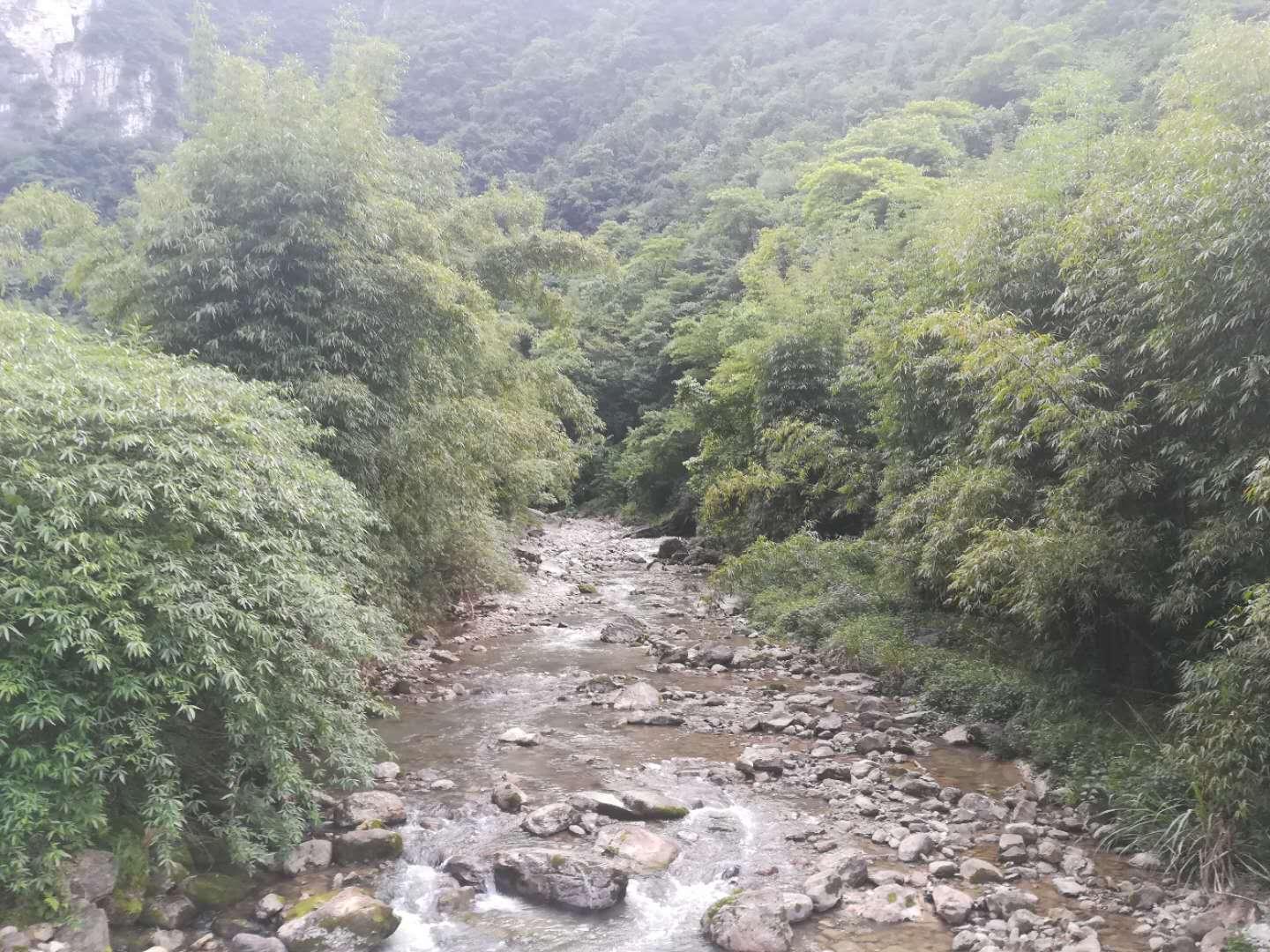 三峡大坝在哪?湖北省宜昌市三斗坪镇详细位置与交通指南,轻松找到世界级工程 三峡大坝在哪?湖北省宜昌市三斗坪镇详细位置与交通指南,轻松找到世界级工程