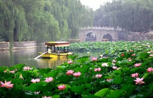 莲花池公园游览全攻略:免费开放千年古池,四季美景与交通指南 莲花池公园游览全攻略:免费开放千年古池,四季美景与交通指南