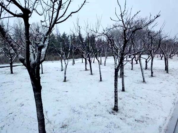 莱州市天气预报:精准掌握未来7天天气变化,轻松安排出行与生活 莱州市天气预报:精准掌握未来7天天气变化,轻松安排出行与生活