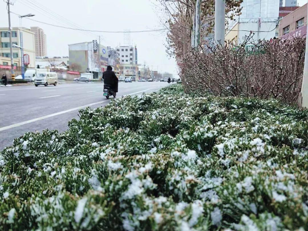 莱州市天气预报:精准掌握未来7天天气变化,轻松安排出行与生活 莱州市天气预报:精准掌握未来7天天气变化,轻松安排出行与生活