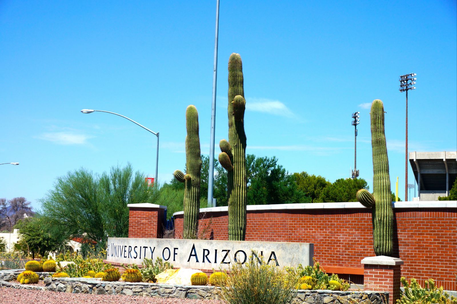 亚利桑那大学:从申请到校园生活,全方位体验沙漠中的学术绿洲 亚利桑那大学:从申请到校园生活,全方位体验沙漠中的学术绿洲