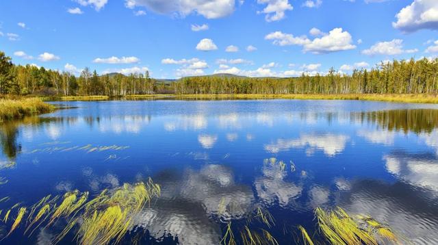 草原的图片:捕捉自由与治愈的绝美瞬间,轻松找到完美素材 草原的图片:捕捉自由与治愈的绝美瞬间,轻松找到完美素材