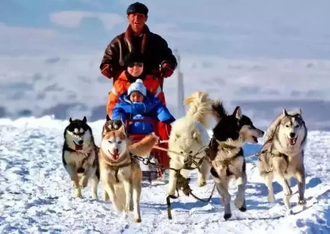 佳木斯市旅游攻略:探索东北边境童话世界与多元文化美食 佳木斯市旅游攻略:探索东北边境童话世界与多元文化美食