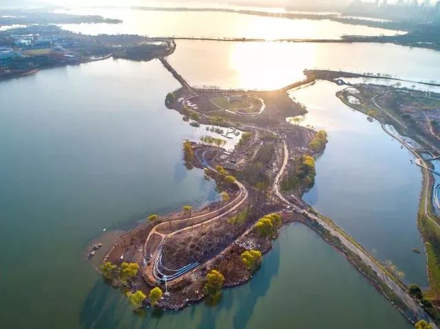 武汉植物园游览全攻略:门票交通、花期路线、特色景点一站式解决 武汉植物园游览全攻略:门票交通、花期路线、特色景点一站式解决