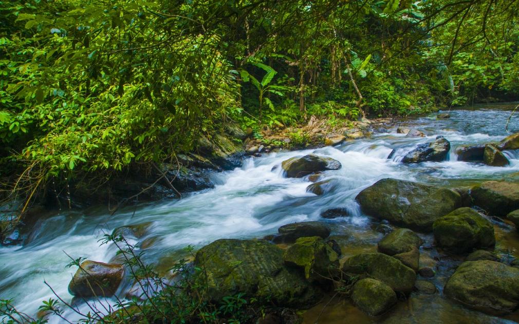 我想去桂林:从梦想到现实的完美旅行攻略,轻松规划你的山水之旅 我想去桂林:从梦想到现实的完美旅行攻略,轻松规划你的山水之旅