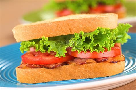 三明治的生菜是什么菜